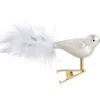 Glasvogel Weis-Silber