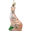 Kanguru