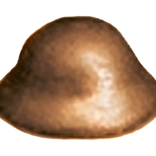 Zaunkappe Braun